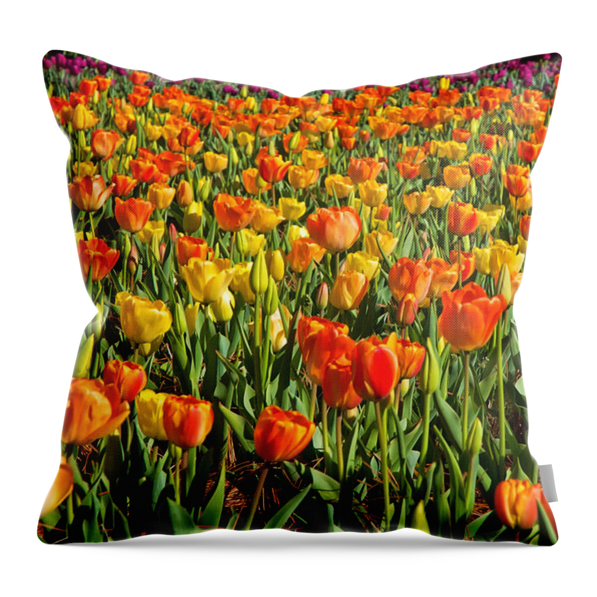 Floral Throw Pillow featuring the photograph Profusion of Tulips Biltmore Estate NC by Mary Lee Dereske