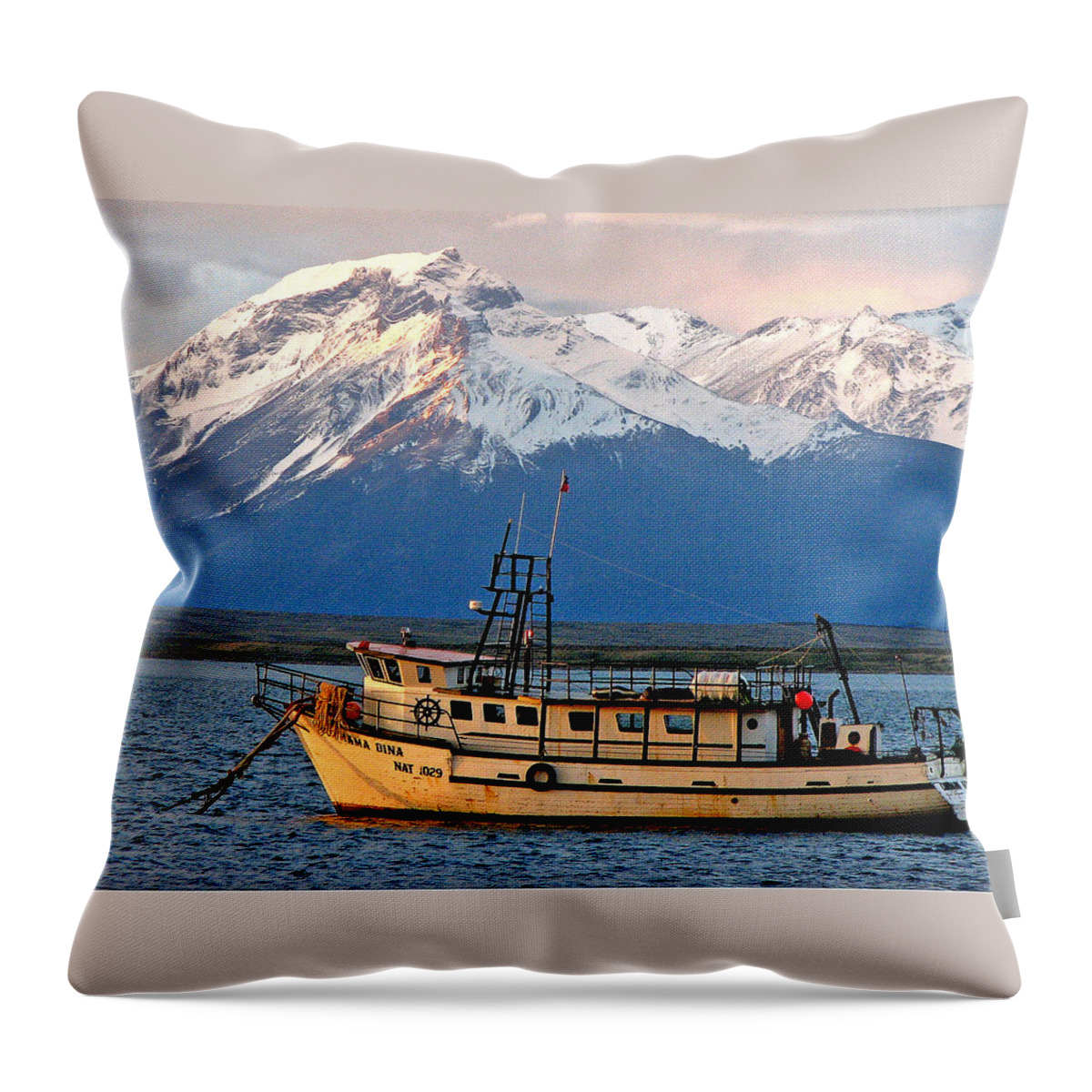 Color Throw Pillow featuring the photograph Mama Dina by Rick Locke - Out of the Corner of My Eye