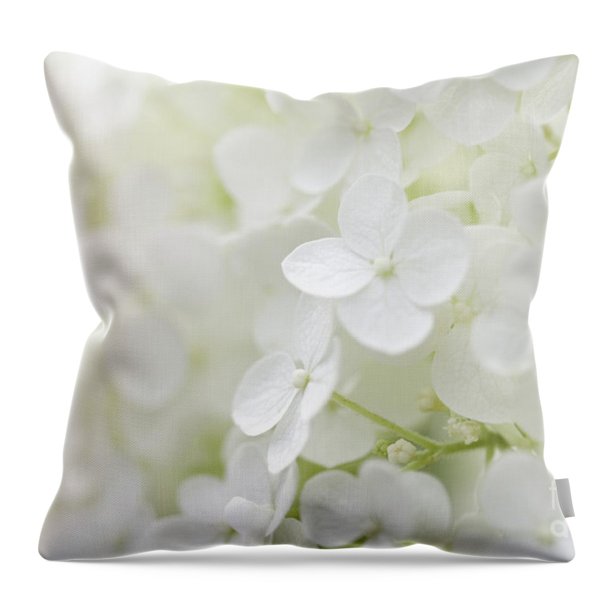 Hydrangea Throw Pillow featuring the photograph Purity by Patty Colabuono