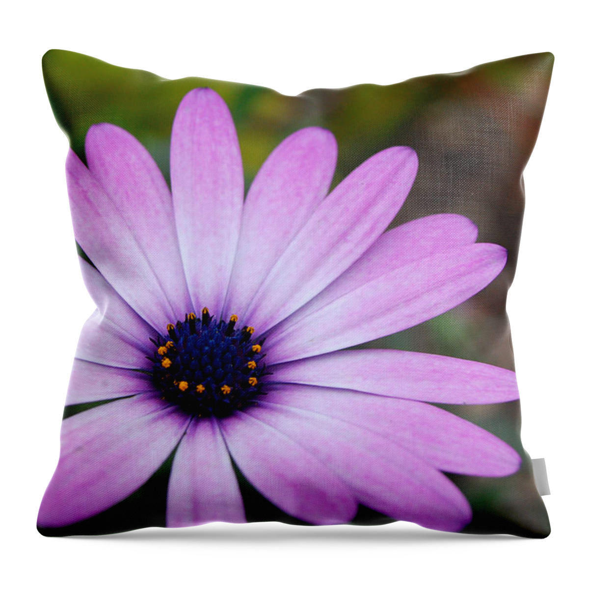 Flower Throw Pillow featuring the photograph Purple Daisy by Amy Fose
