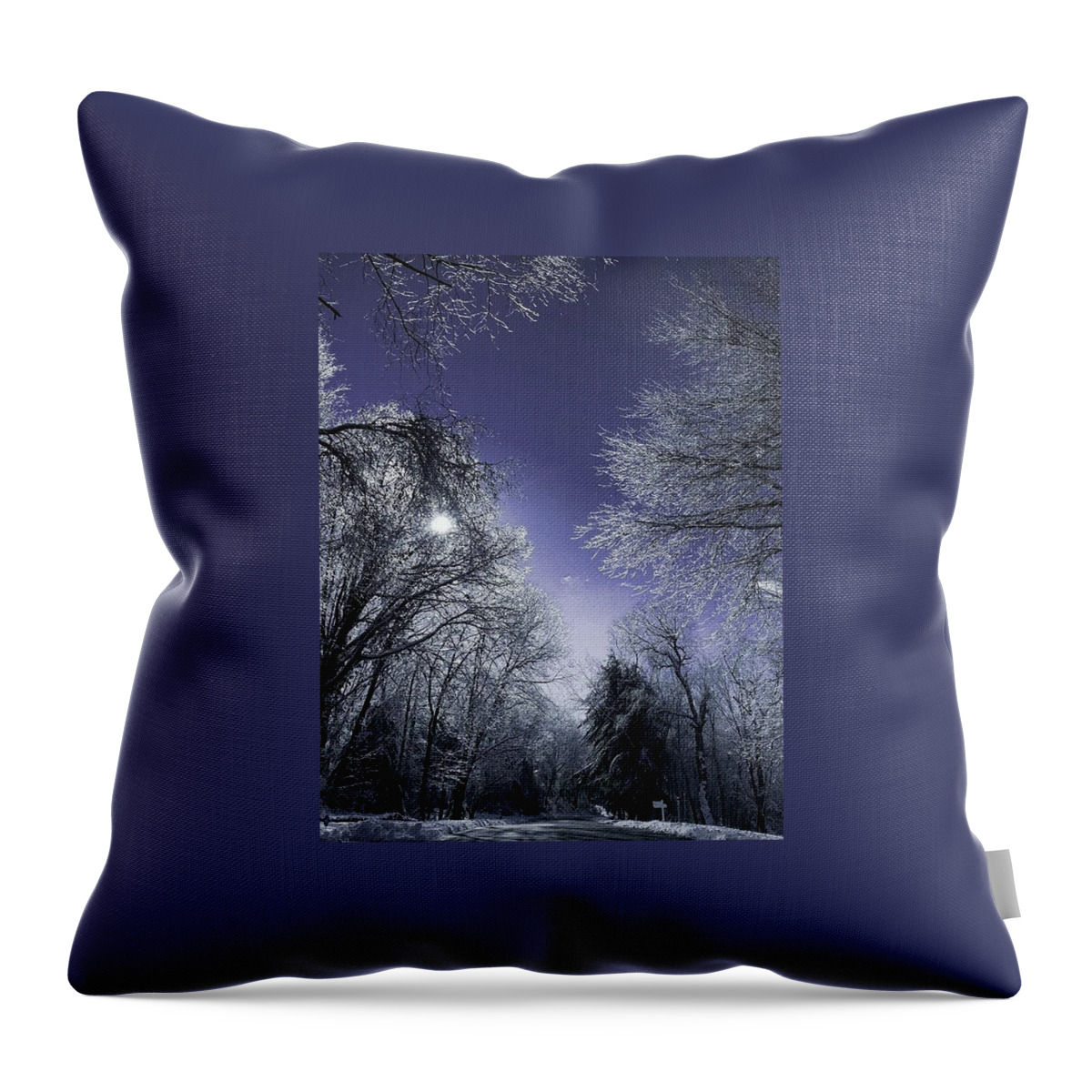 Winter Throw Pillow featuring the photograph Purple Haze by Dani McEvoy