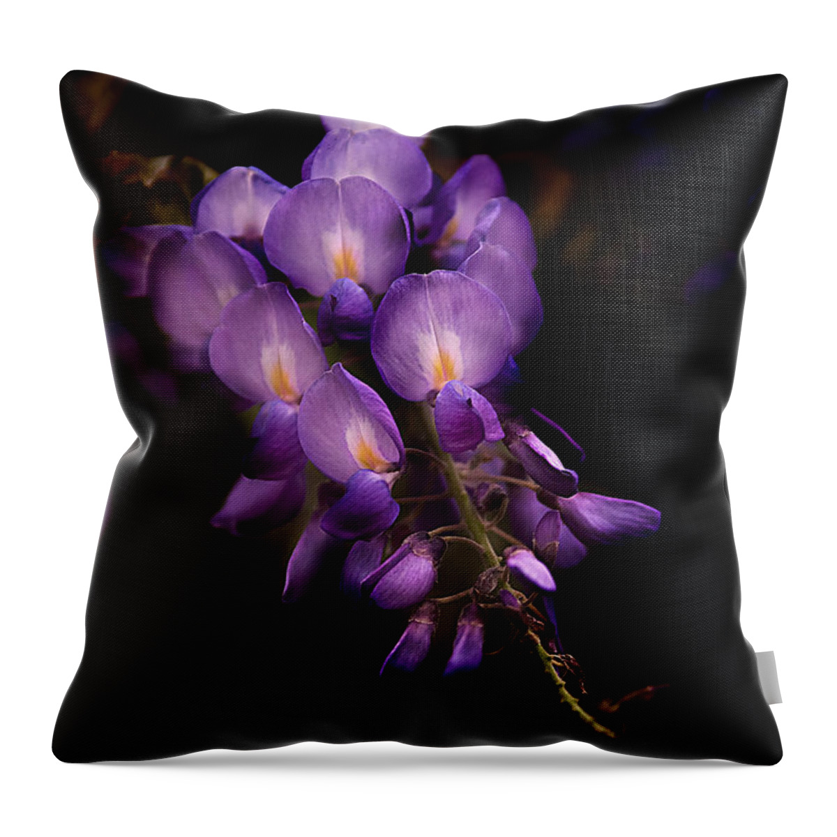 Flower Throw Pillow featuring the photograph Purple Wisteria by T Lowry Wilson