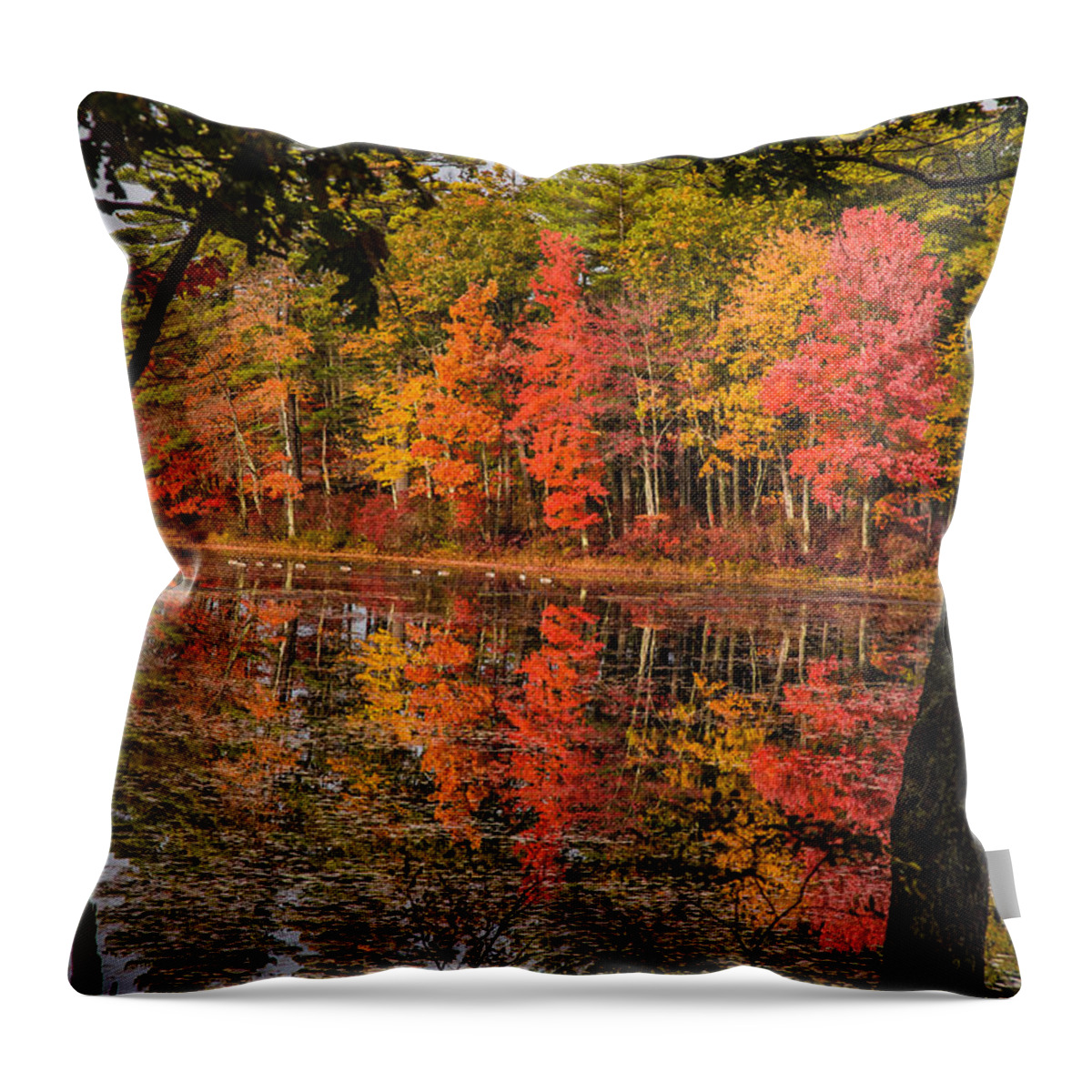 #foliage_reports Throw Pillow featuring the photograph Quabbin reservoir fall foliage by Jeff Folger