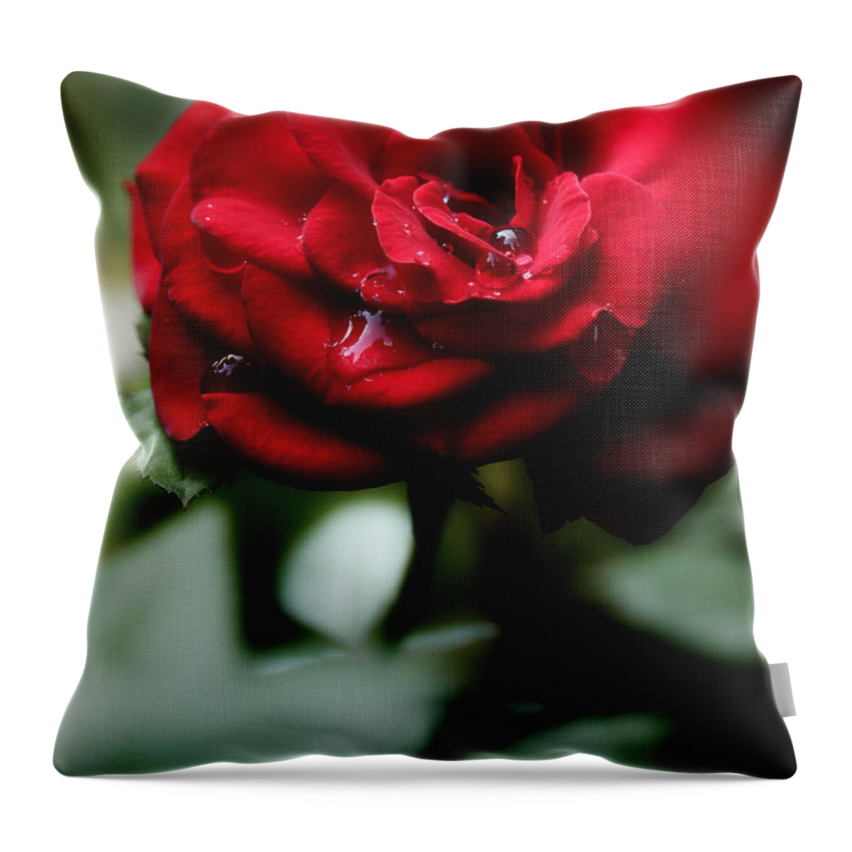 Red Rose Throw Pillow featuring the photograph Quietly My Tears Fall by Michael Eingle