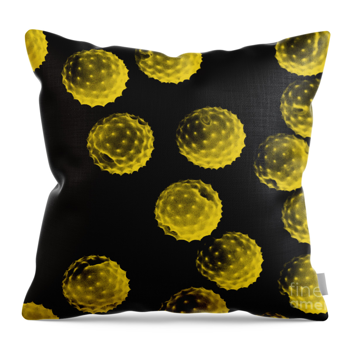 Botany Throw Pillow featuring the photograph Ragweed Pollen Sem by David M. Phillips