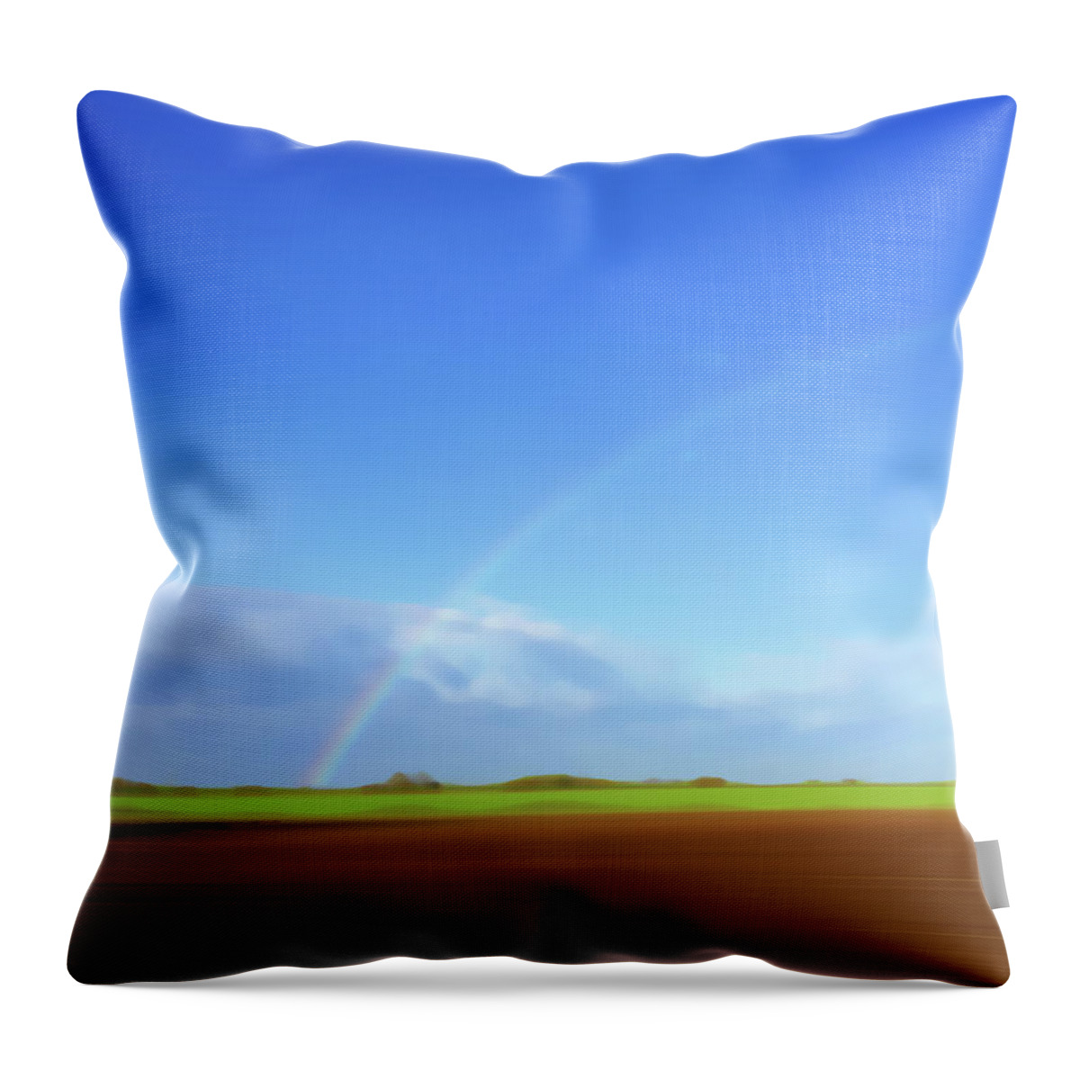 Beauty In Nature Throw Pillow featuring the photograph Rainbow In Field by Ikon Ikon Images