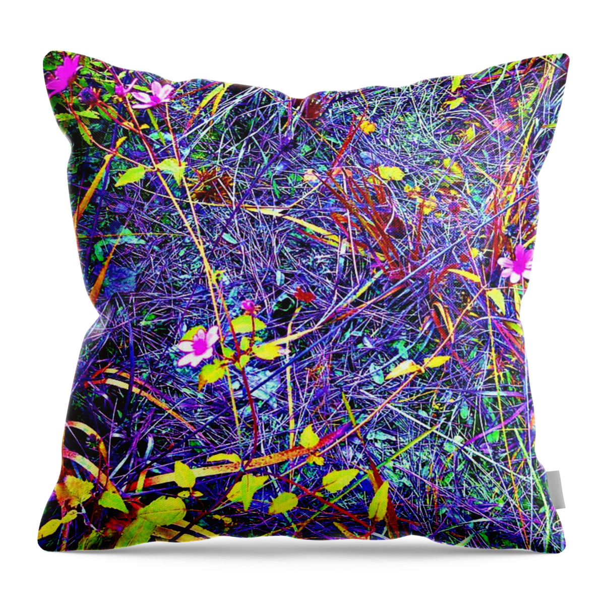 Rainbow Throw Pillow featuring the photograph Rainbow Jungle Wild Flower Patch by George Pedro