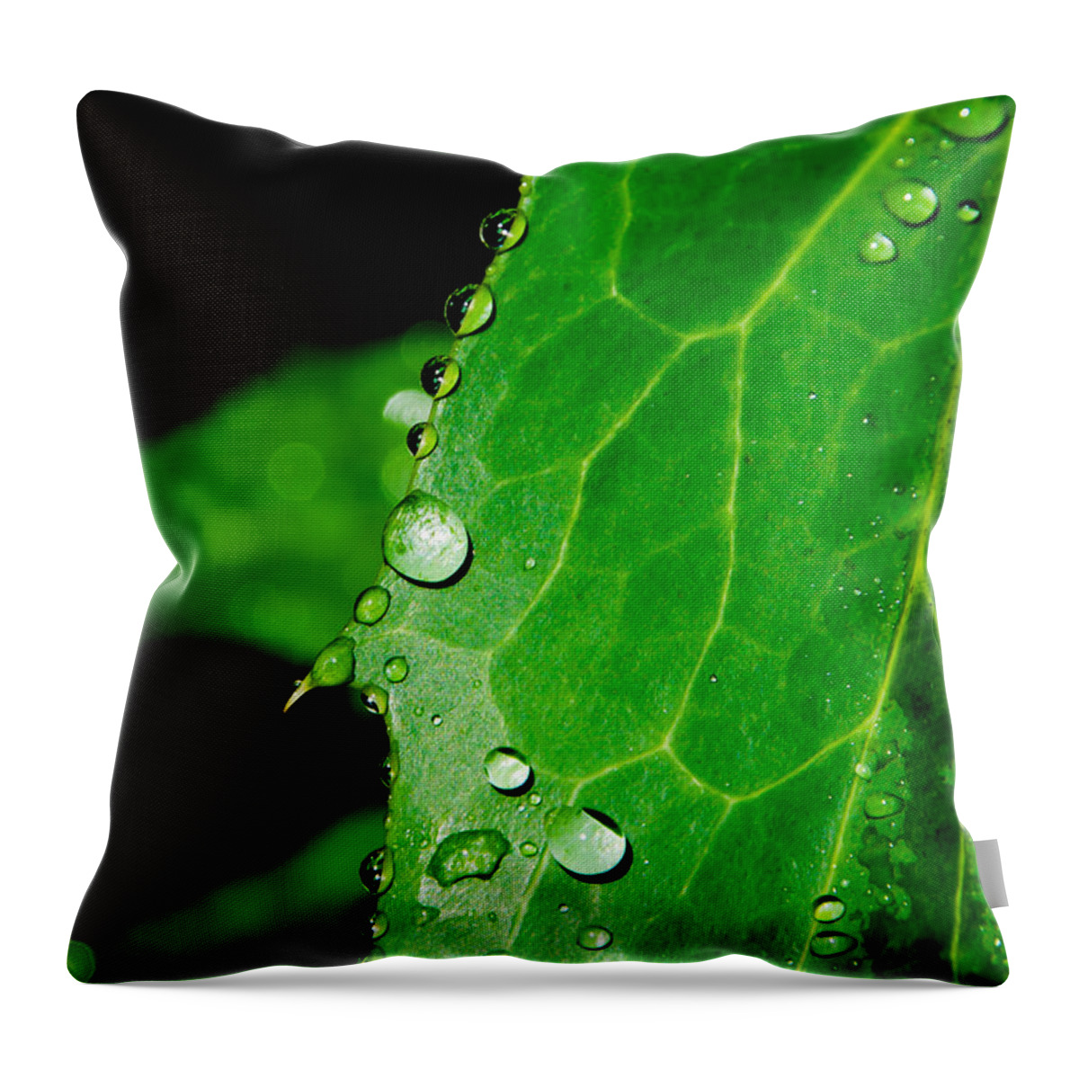 Raindrops Throw Pillow featuring the photograph Raindrops On Green Leaf by Andreas Berthold