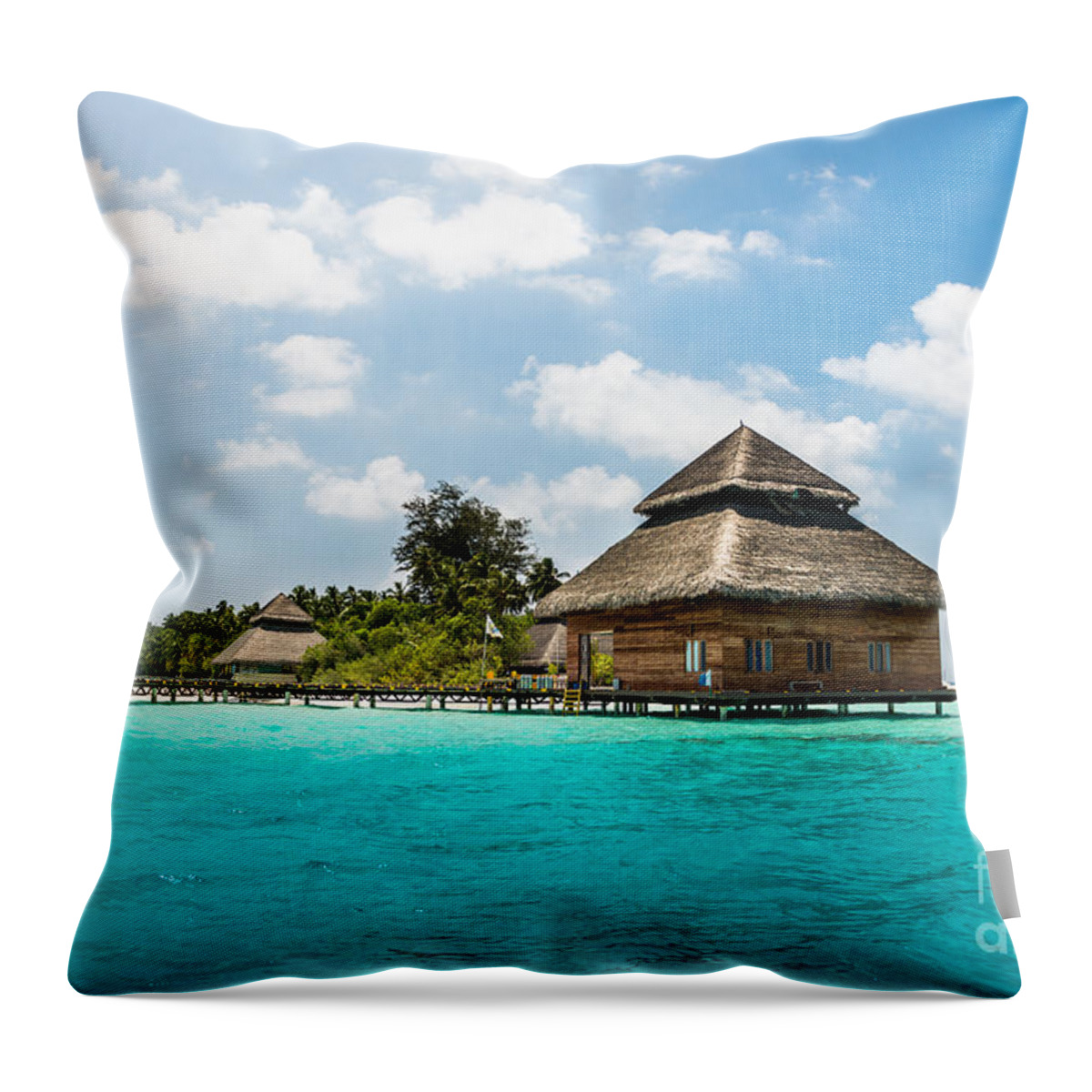 Amazing Throw Pillow featuring the photograph Rannaalhi by Hannes Cmarits