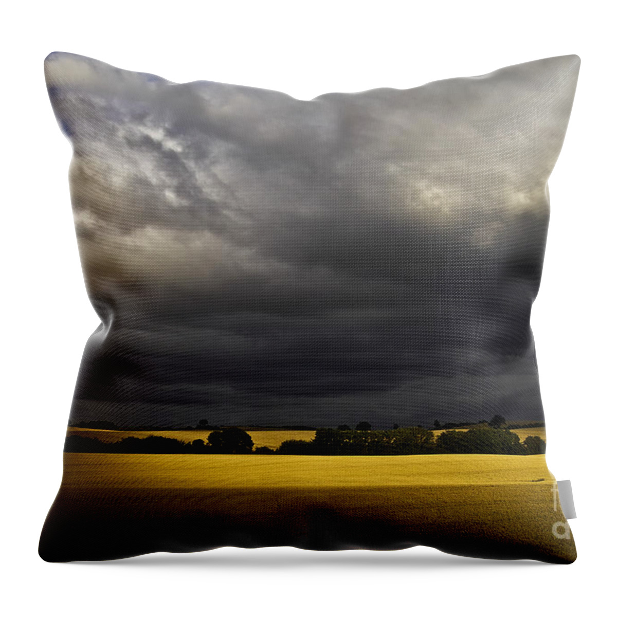 Rapefield Throw Pillow featuring the photograph Rapefield Under Dark Sky by Heiko Koehrer-Wagner