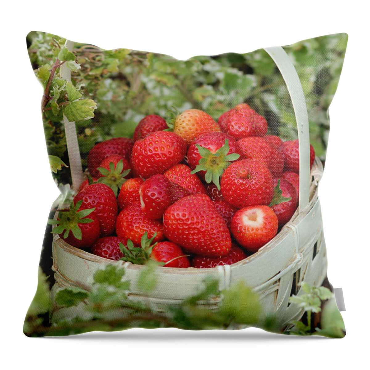 Red Throw Pillow featuring the photograph Ready for Market by E Faithe Lester