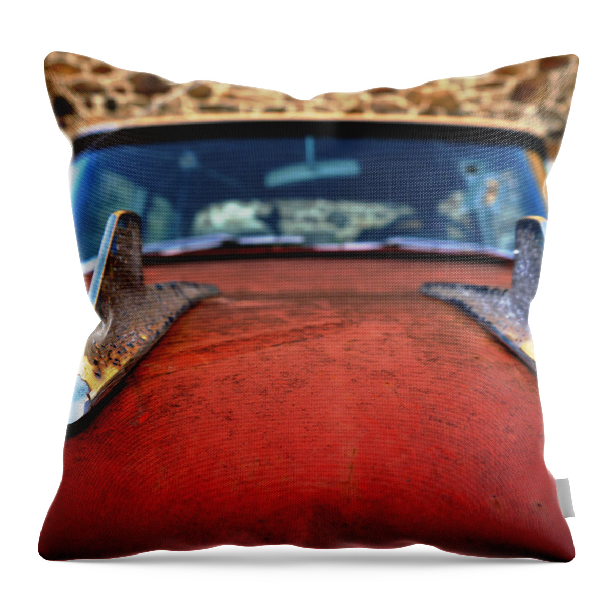 Ika 5829-2 Throw Pillow featuring the photograph Rebel Fins by Richard Reeve