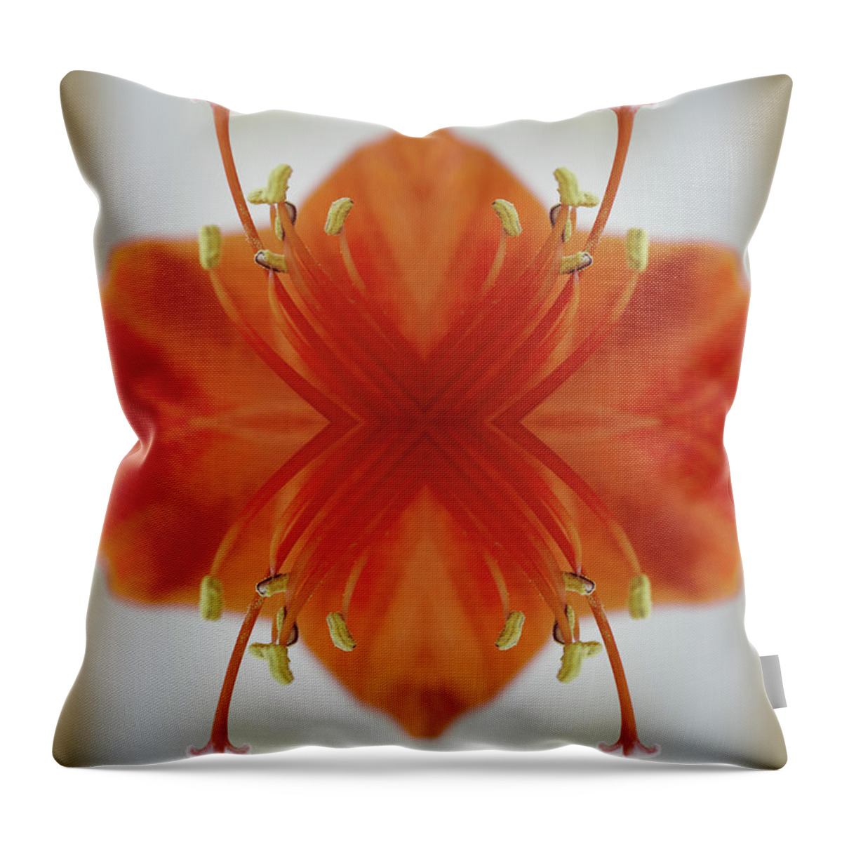 Tranquility Throw Pillow featuring the photograph Red Amaryllis Flower by Silvia Otte