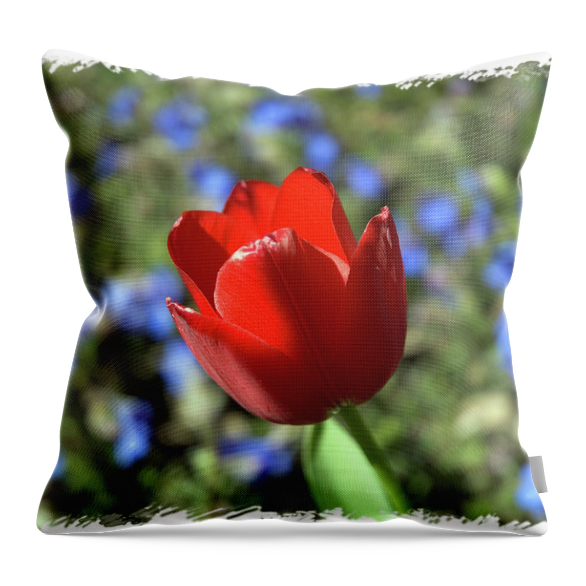 Flower Throw Pillow featuring the photograph Red Baby by Arthur Fix