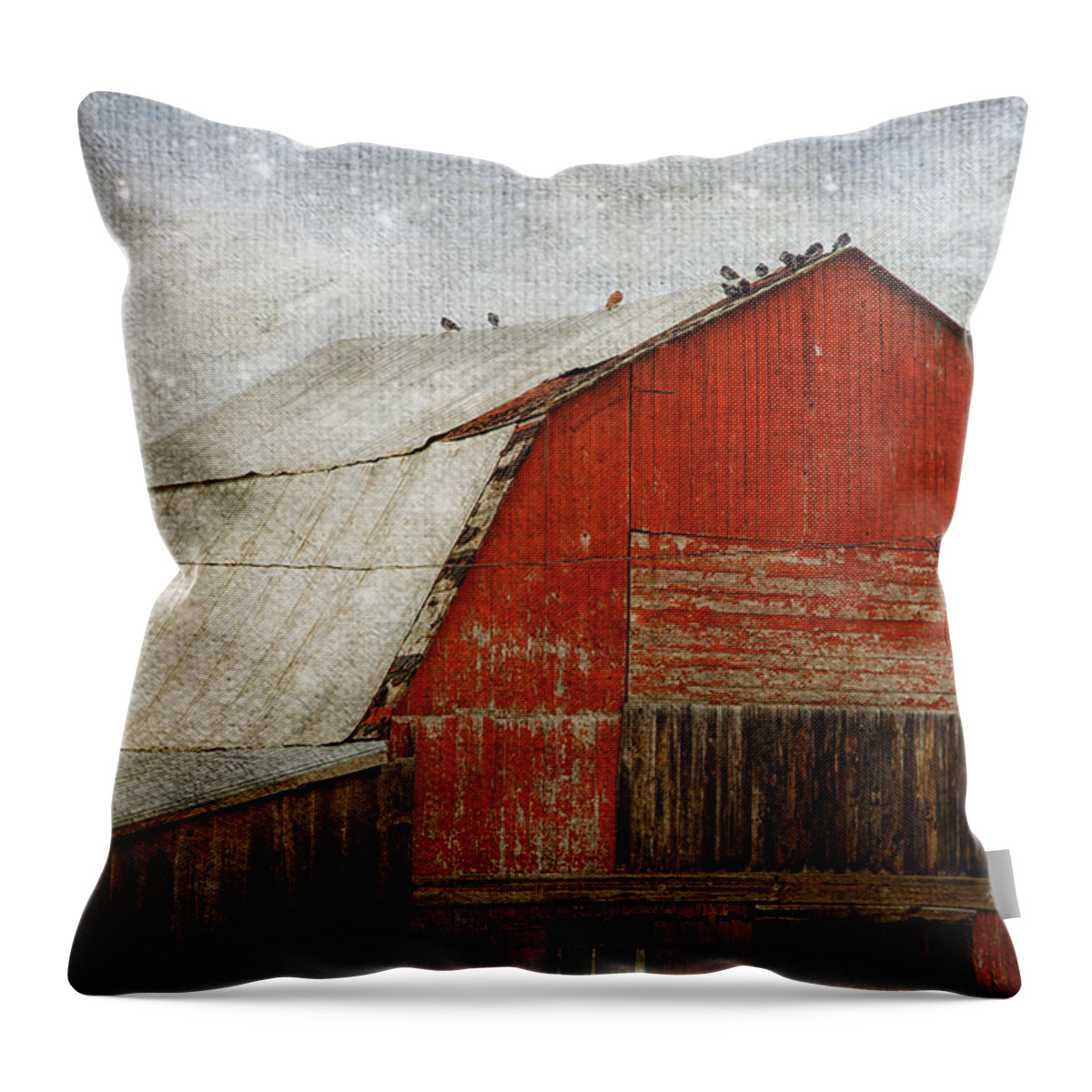 Barn Throw Pillow featuring the photograph Red Barn And First Snow by Theresa Tahara