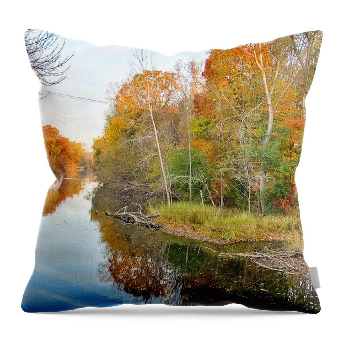 Michigan Throw Pillow featuring the photograph Red Cedar Fall Colors by Lars Lentz
