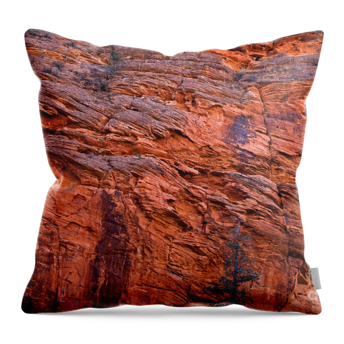 Autumn Throw Pillow featuring the photograph Red Cliff by Fred Stearns