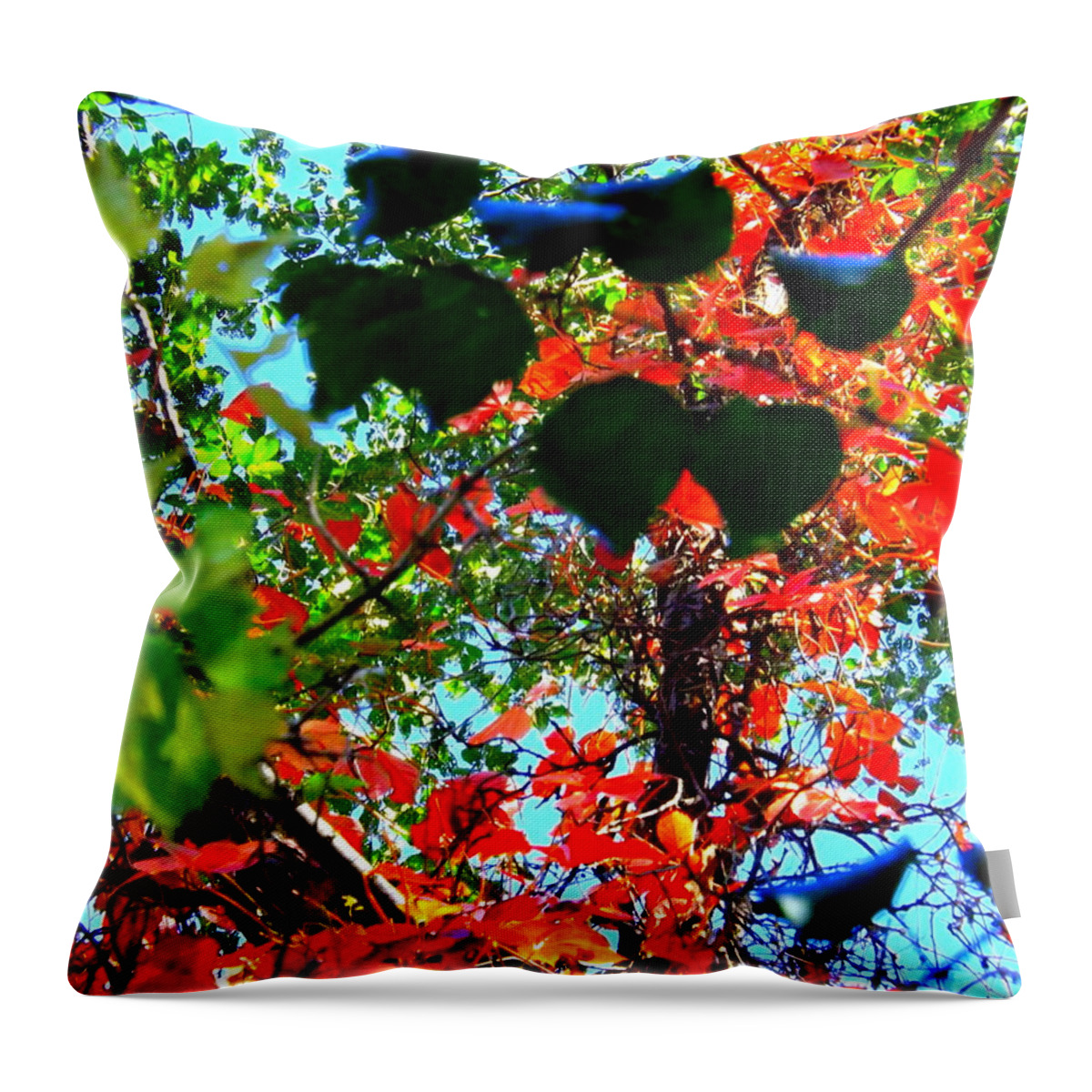 Red Creeper 3 Throw Pillow featuring the photograph Red Creeper 3 by Darren Robinson
