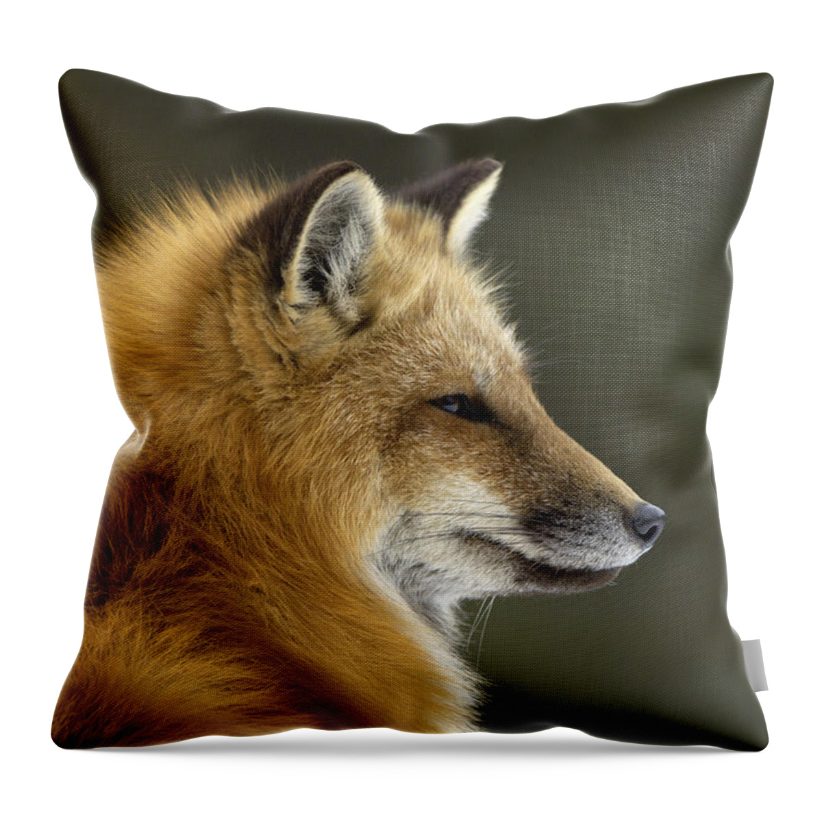 Flpa Throw Pillow featuring the photograph Sly Red Fox by Malcolm Schuyl