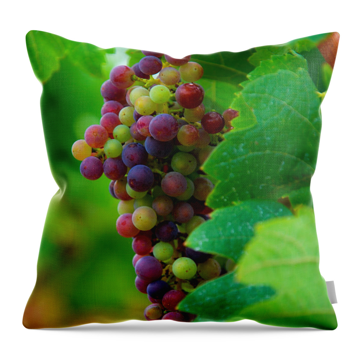 Bordeaux Throw Pillow featuring the photograph Red Grapes by Hannes Cmarits