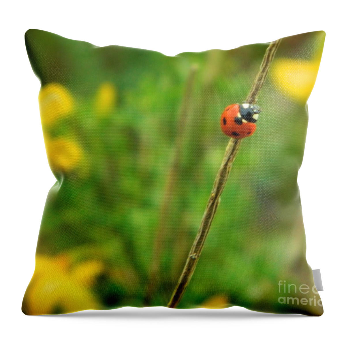 Ladybug Throw Pillow featuring the photograph Red Ladybug by Gallery Of Hope 