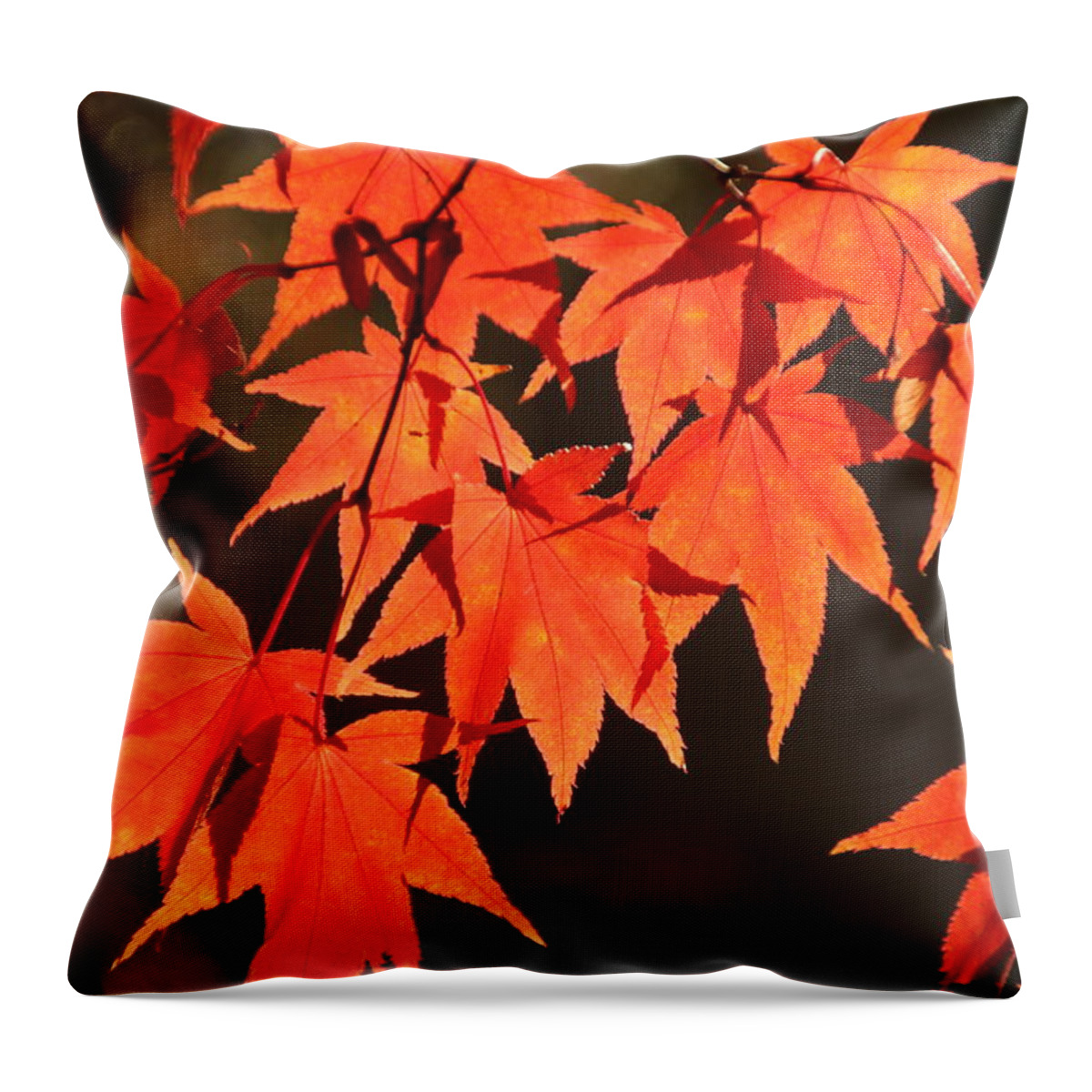 Japanese Maple Tree Throw Pillow featuring the photograph Japanese Maple Leaves in Fall by Valerie Collins