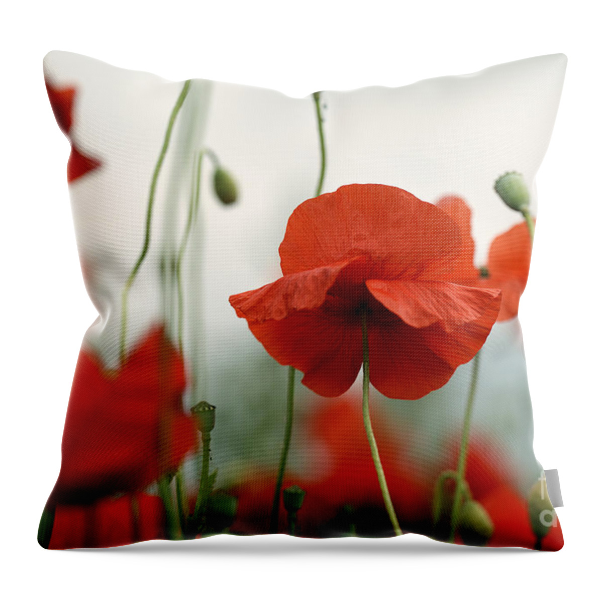 Poppy Throw Pillow featuring the photograph Red by Nailia Schwarz
