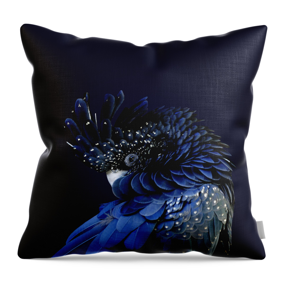 Fort Worth Throw Pillow featuring the photograph Red-tailed Black Cockatoo by © Debi Dalio