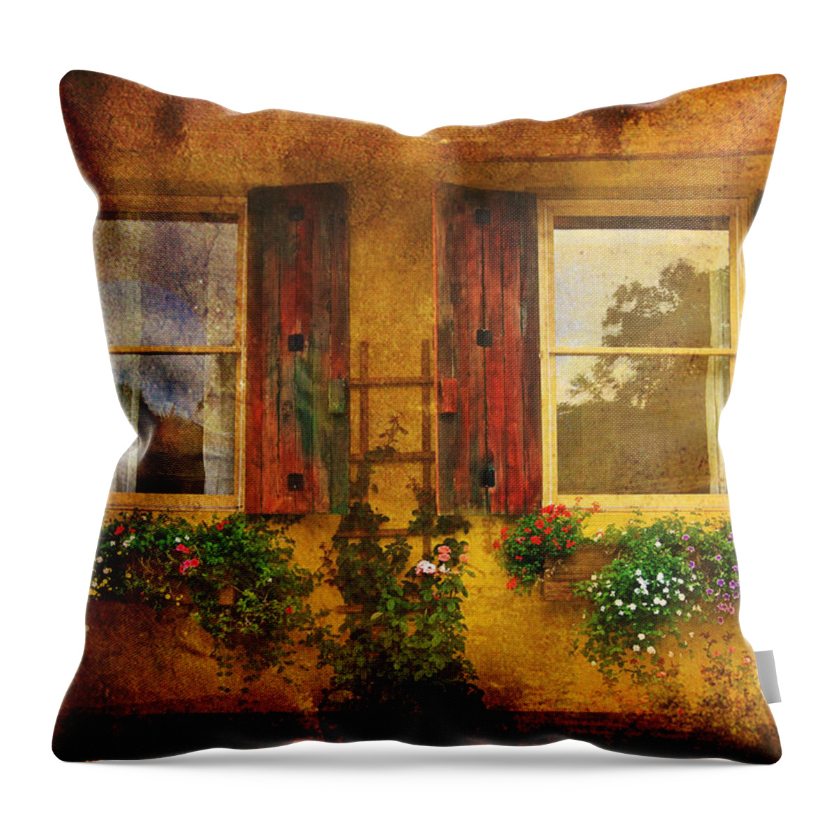 Architecture Arts Throw Pillow featuring the photograph Reflection by Kandy Hurley