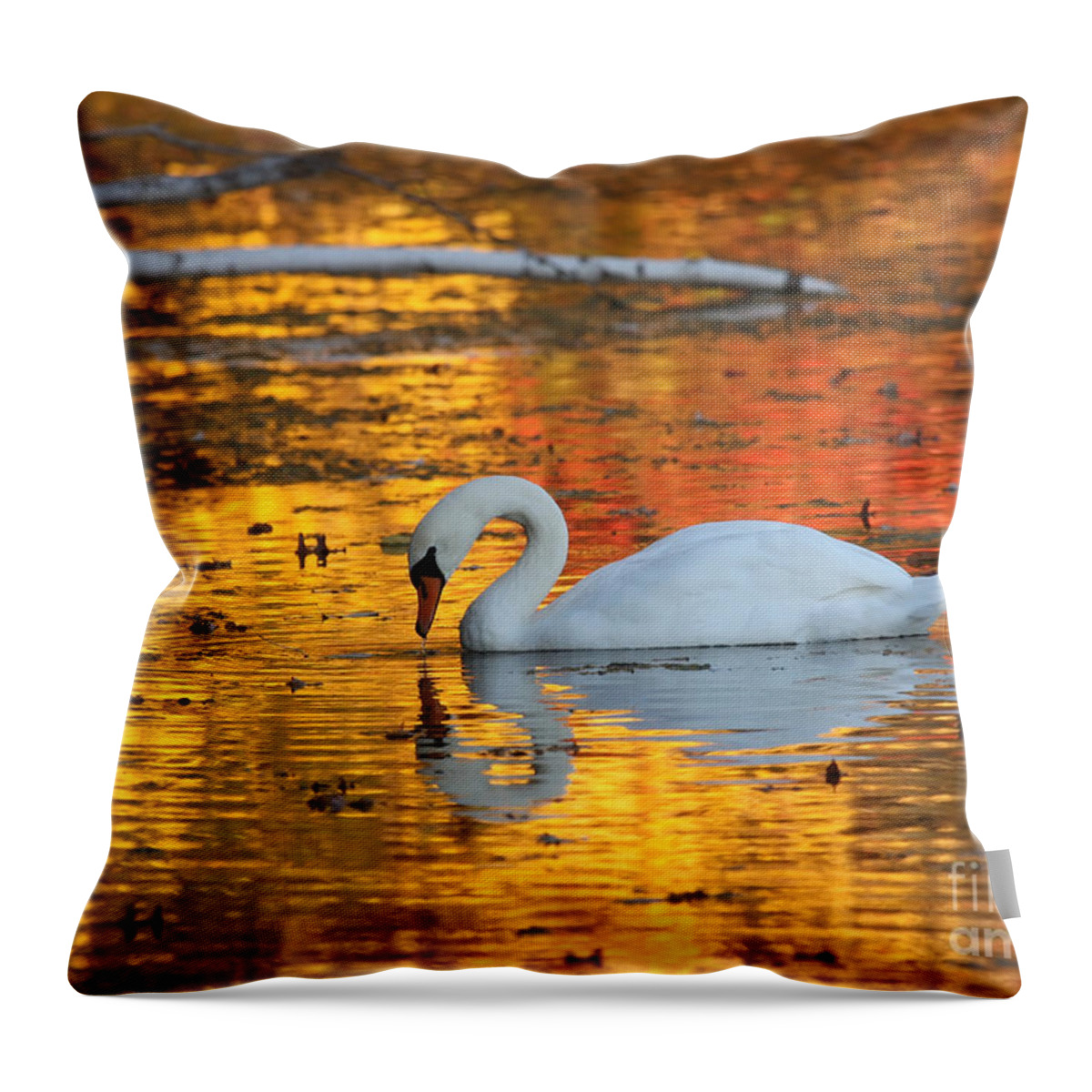 Golden Throw Pillow featuring the photograph Reflections on Golden Pond by Jayne Carney