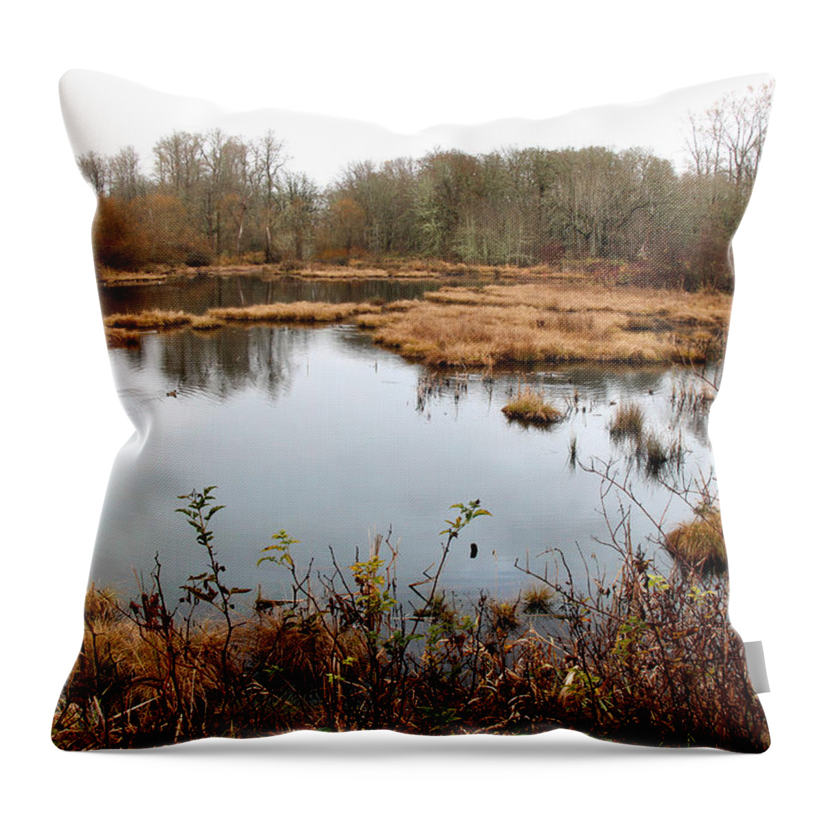 Landscape Throw Pillow featuring the photograph Refuge by Rory Siegel