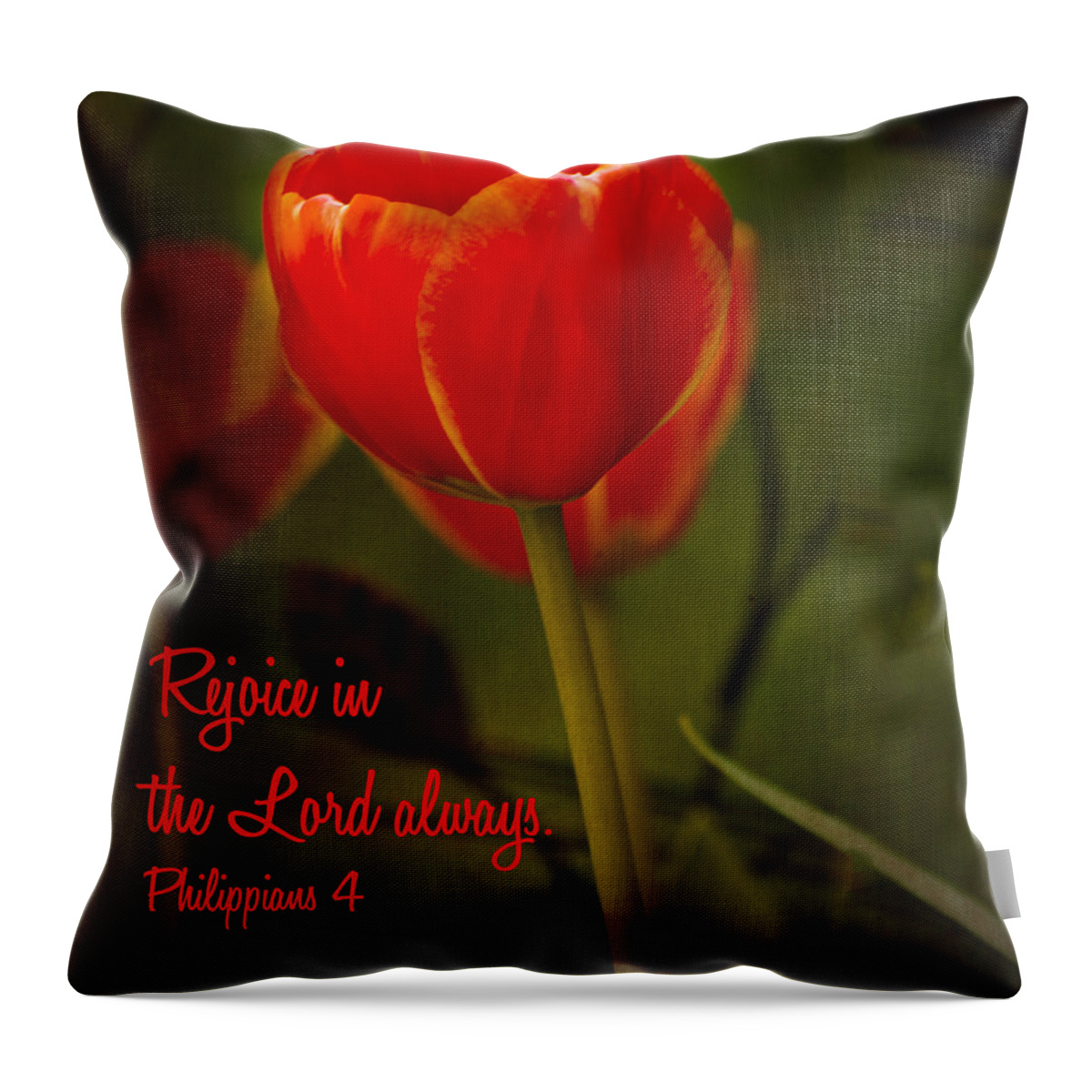 Scripture Throw Pillow featuring the photograph Rejoice in the Lord by Bill Barber