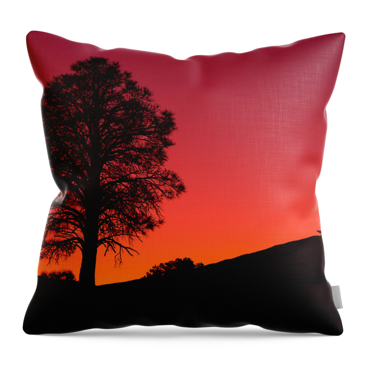 Vermilion Cliffs Throw Pillow featuring the photograph Reminiscing by Chad Dutson