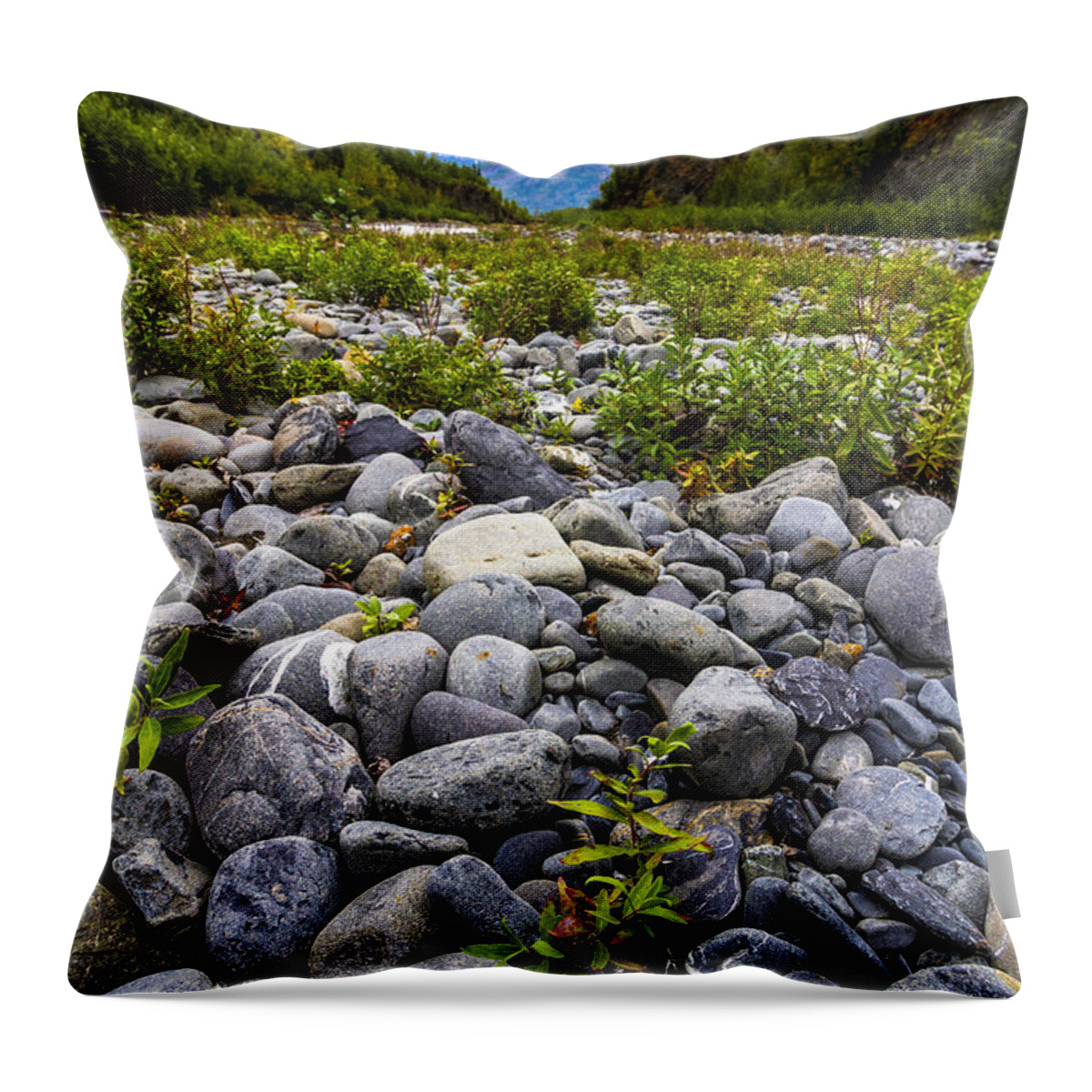 Landscape Throw Pillow featuring the photograph River Side by Kyle Lavey