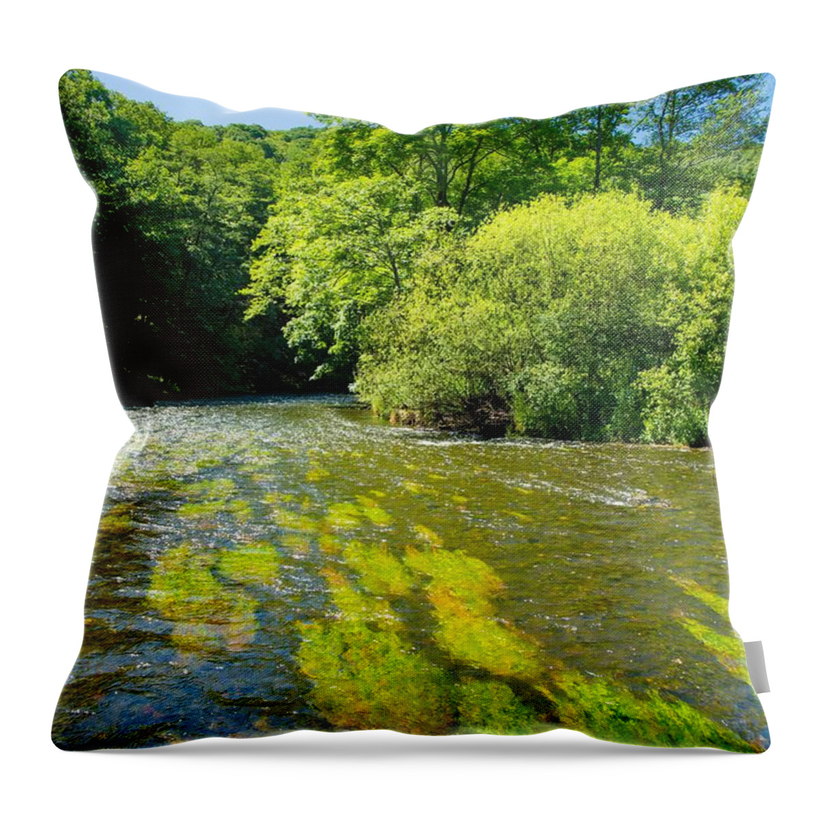 River Throw Pillow featuring the photograph River Thaya In Austria by Andreas Berthold