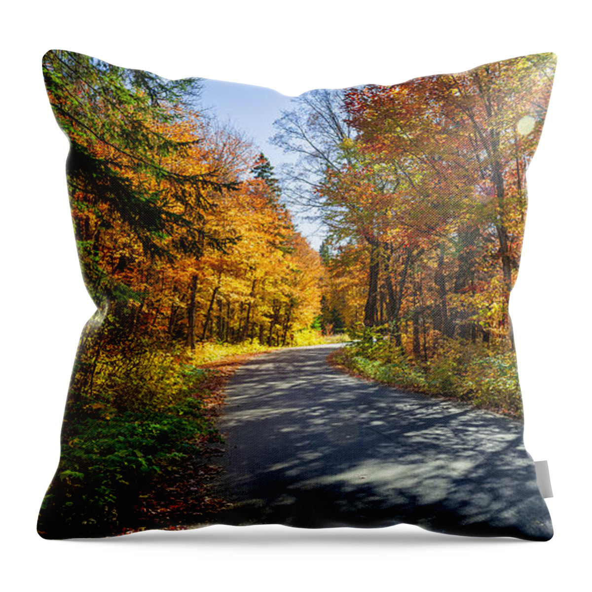 Road Throw Pillow featuring the photograph Road through fall forest by Elena Elisseeva