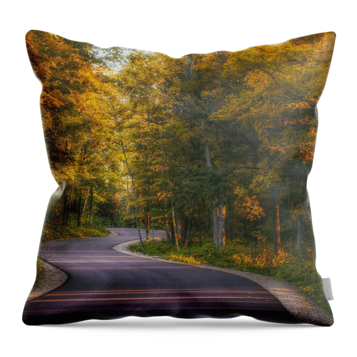 Blacktop Throw Pillow featuring the photograph Road to Cave Point by Scott Norris