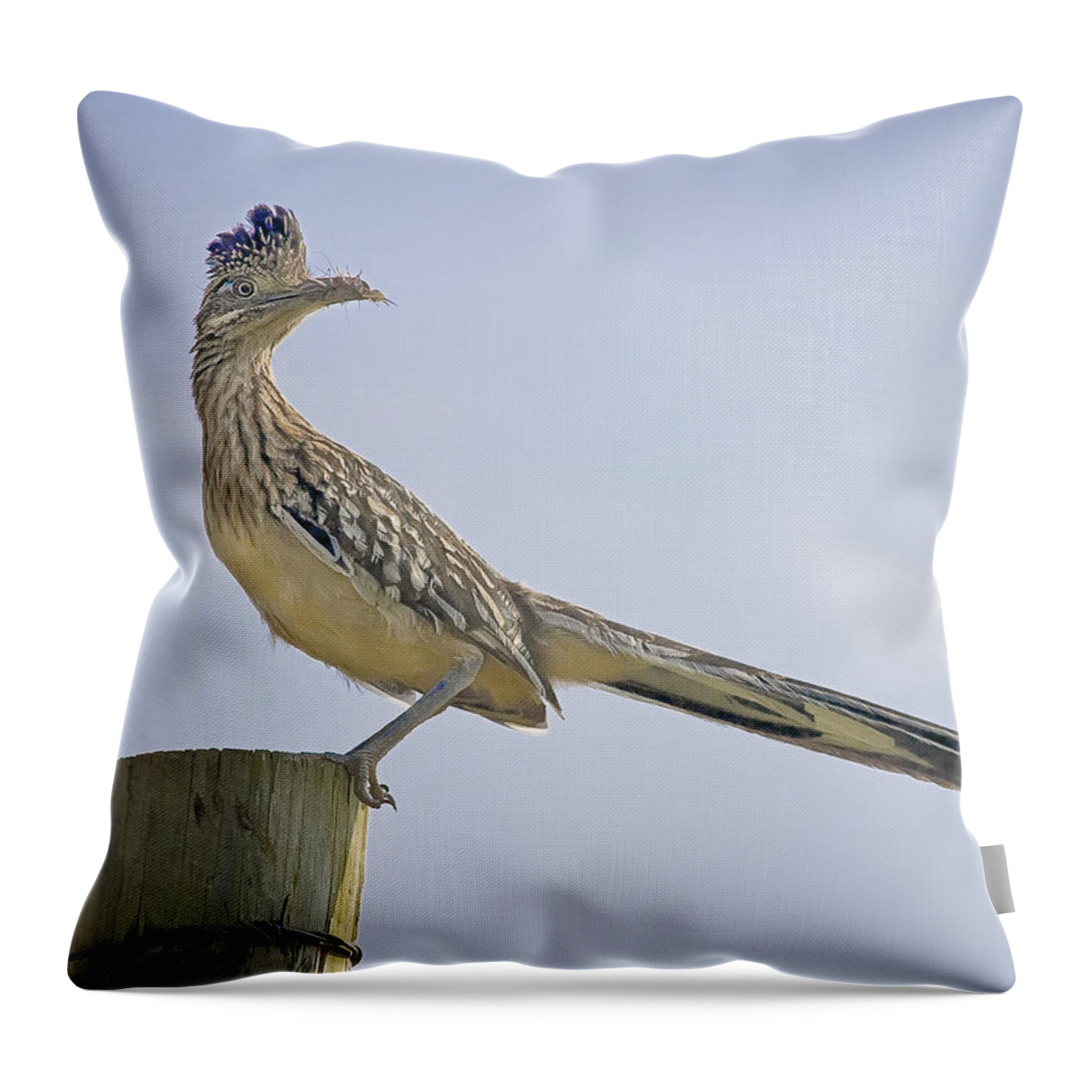 Road Runner Throw Pillow featuring the photograph Roadrunner on Fence Post by Michael Dougherty