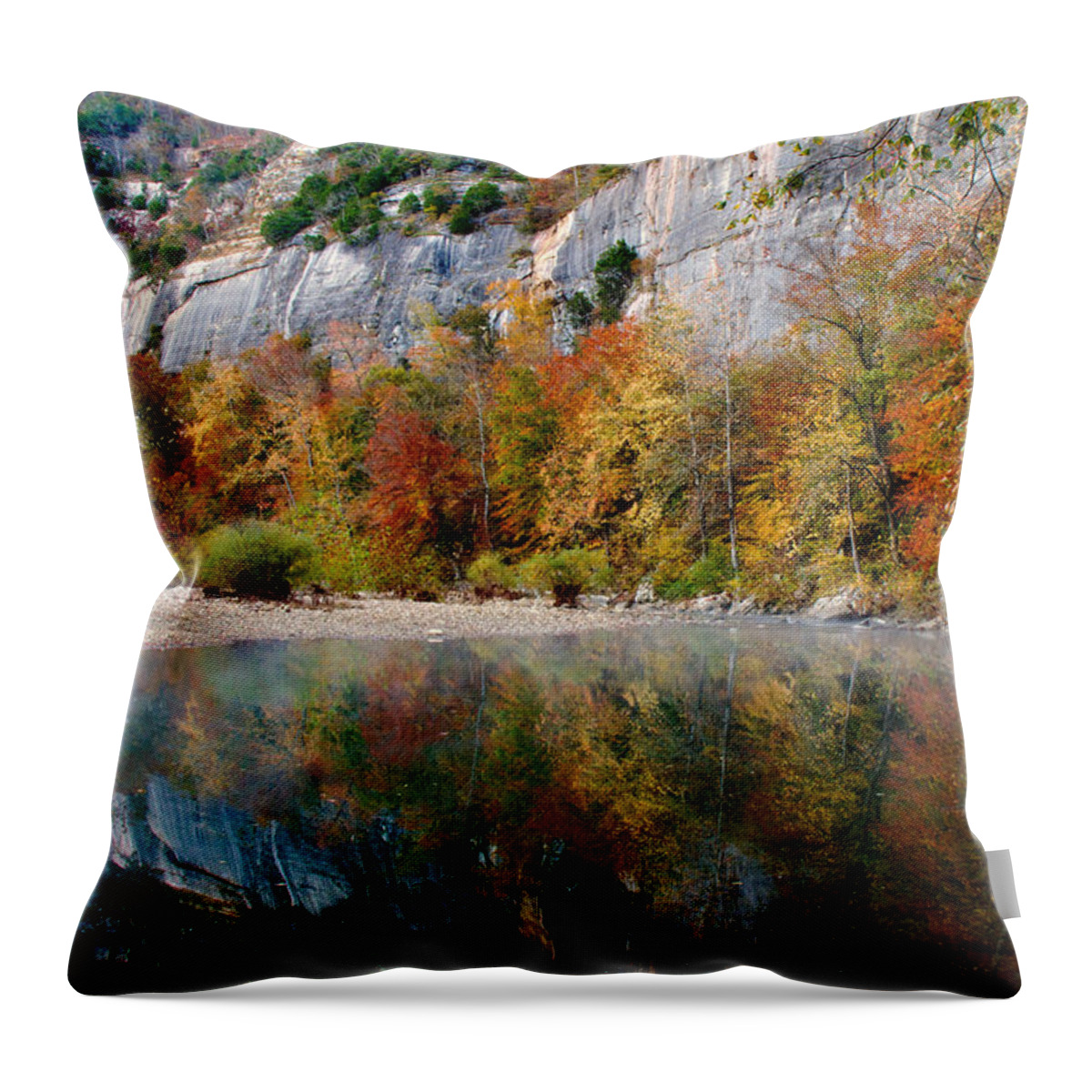 Arkansas Throw Pillow featuring the photograph Roark on the Buffalo by Lana Trussell