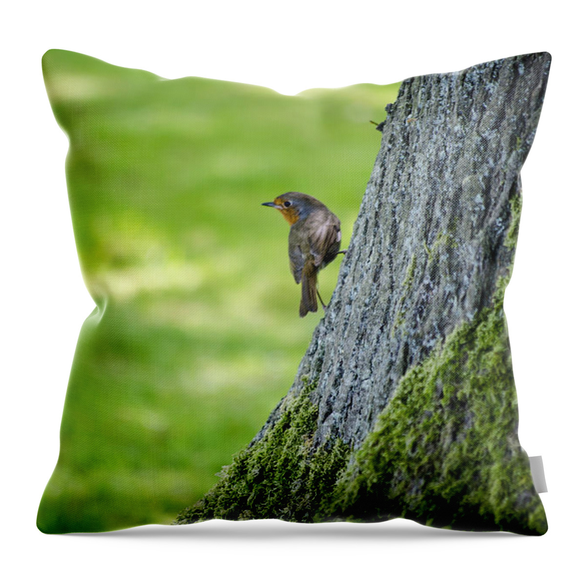 Garden Throw Pillow featuring the photograph Robin At Rest by Spikey Mouse Photography