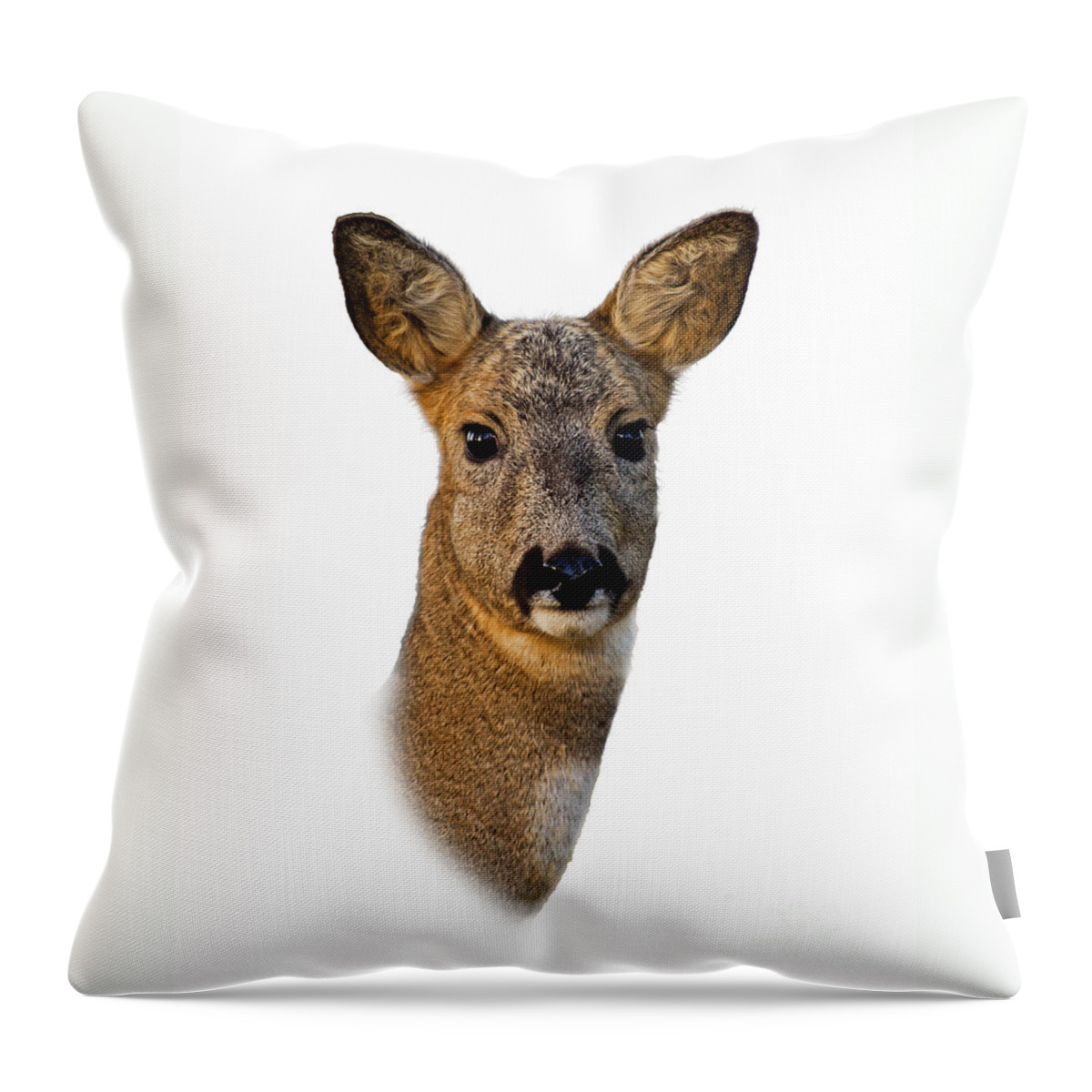 Roe Deer Portrait Throw Pillow featuring the photograph Roe Deer Portrait by Torbjorn Swenelius