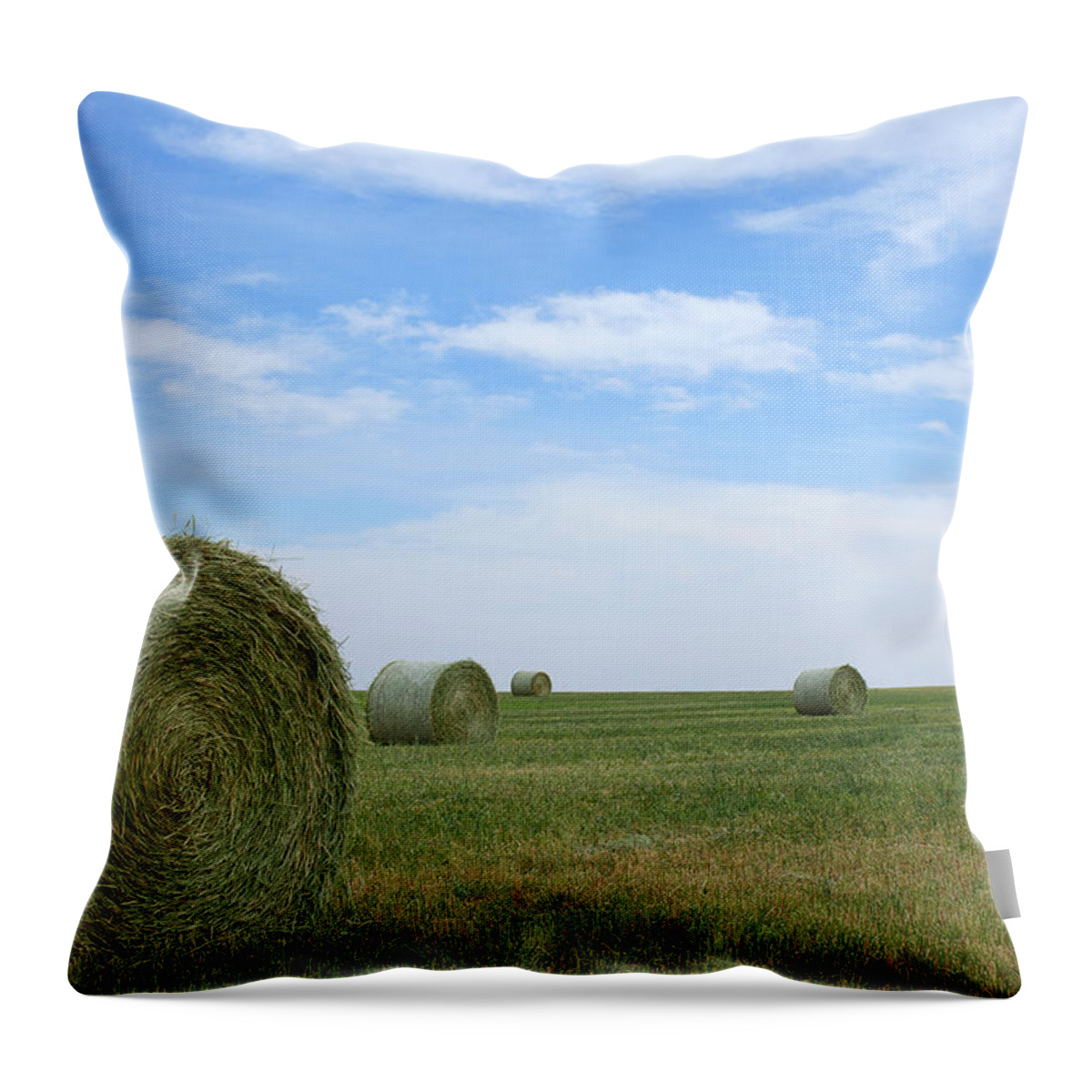 Hay Bales Photograph Throw Pillow featuring the photograph Rollin' Rollin' Rollin' by Jim Garrison