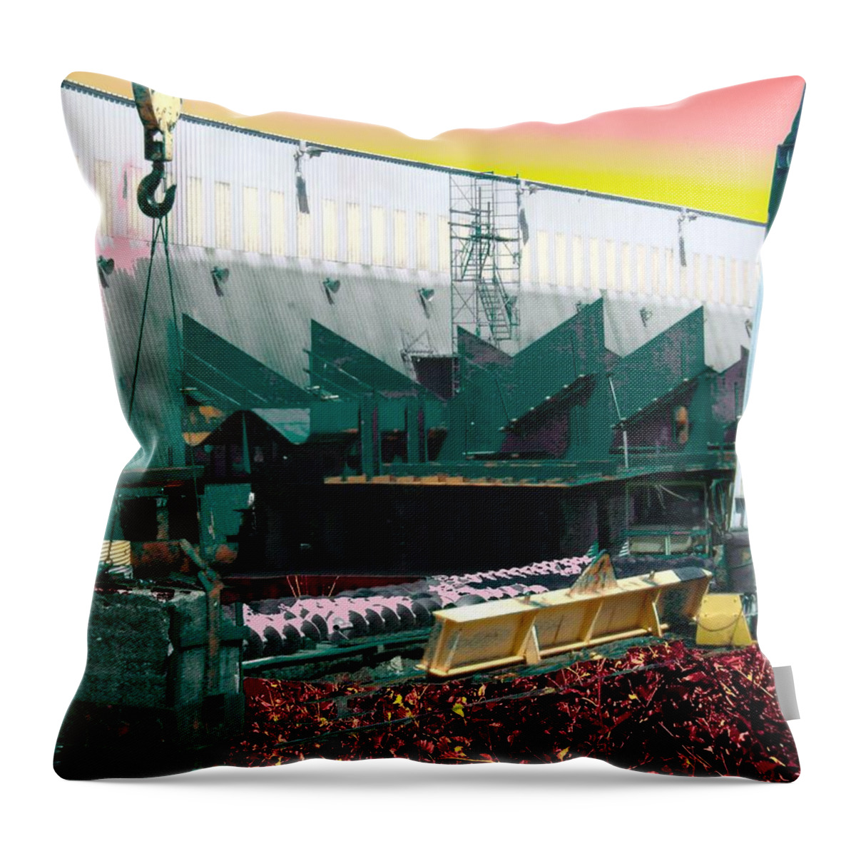 Surrealism Throw Pillow featuring the photograph Rose Colored Healthcare by Laureen Murtha Menzl