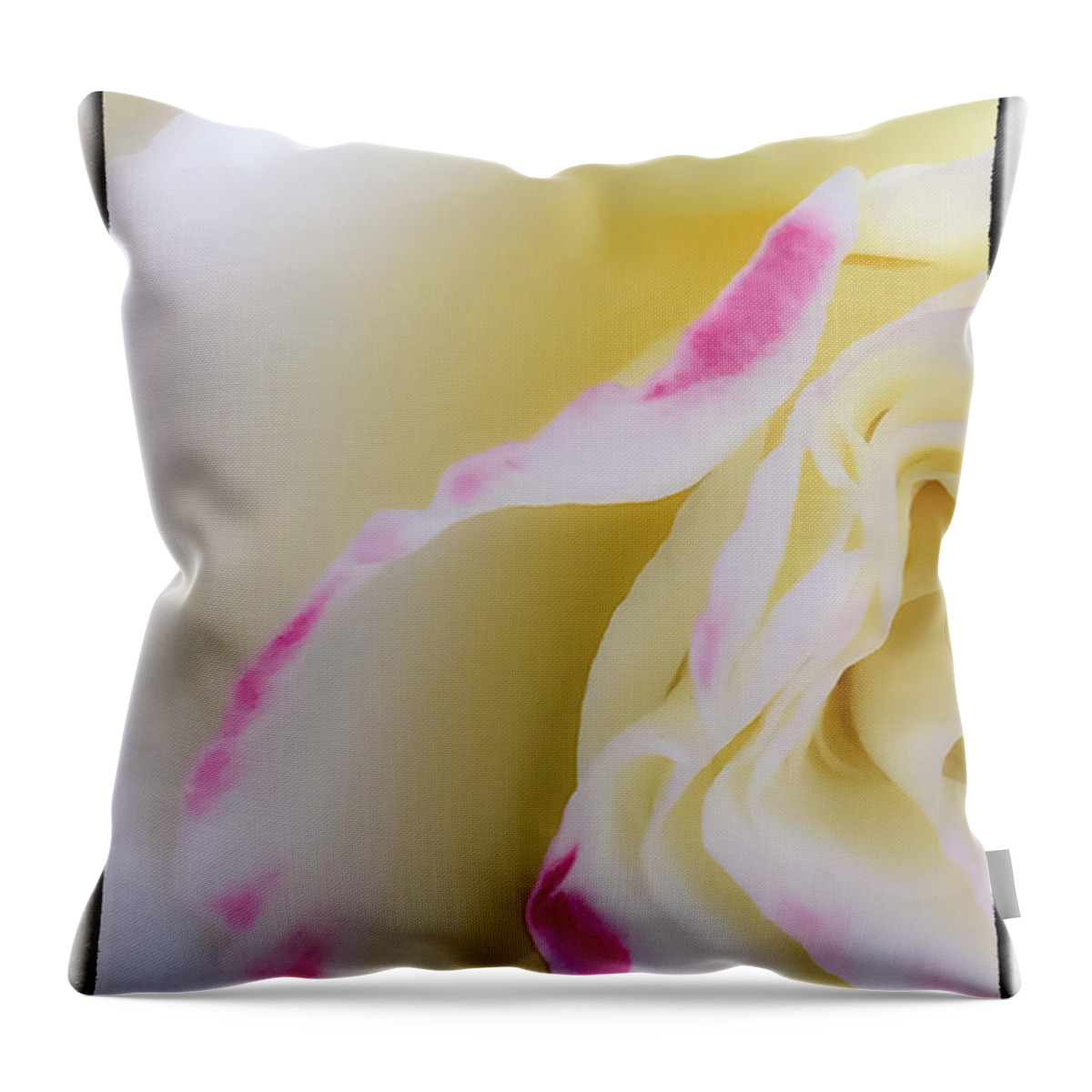 Abstract Throw Pillow featuring the photograph Rose by Jonathan Nguyen