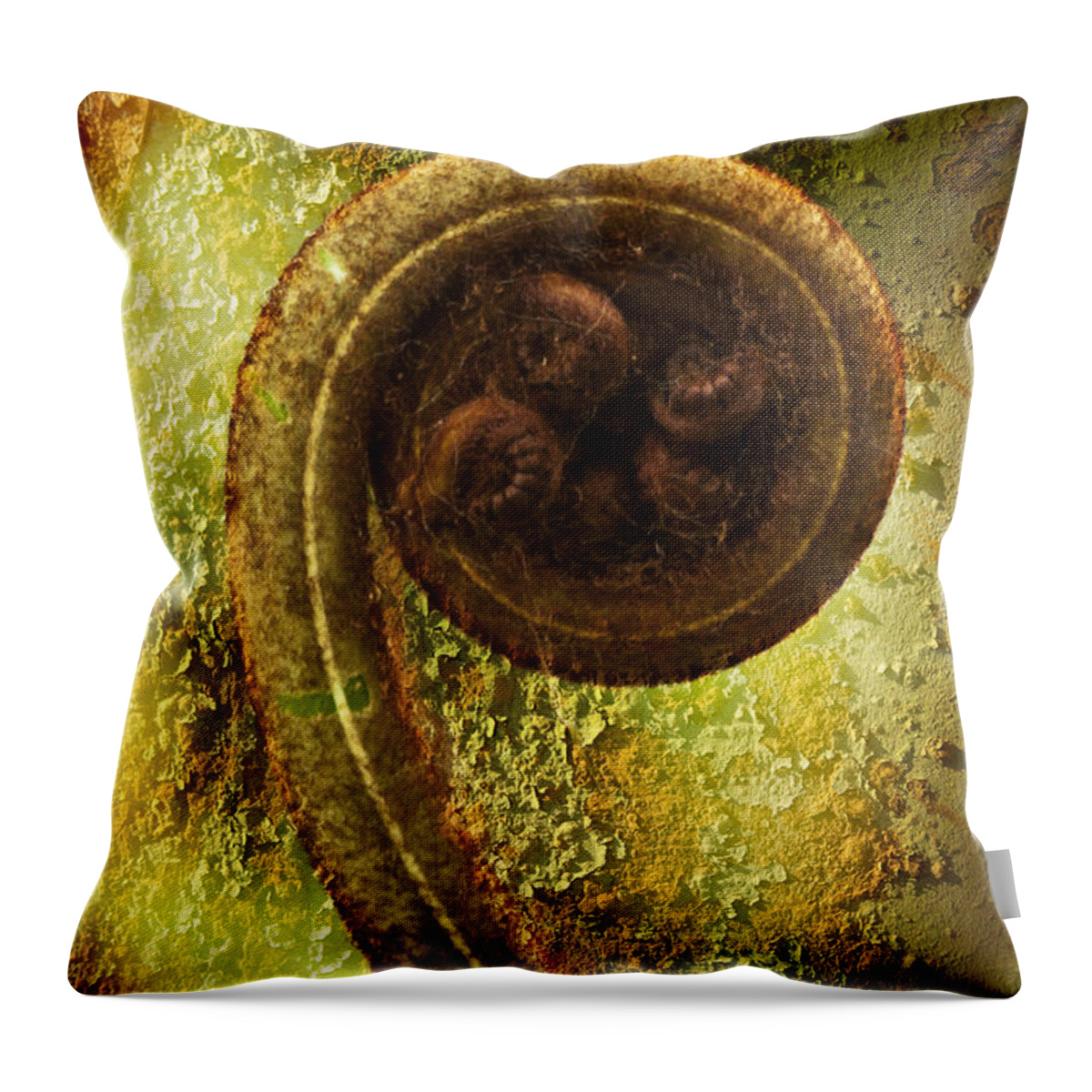 Plant Throw Pillow featuring the photograph Rust and Fern by Heiko Koehrer-Wagner