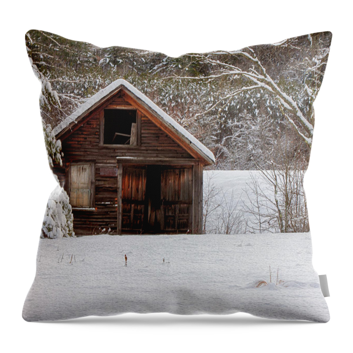  Scenic Vermont Photographs Throw Pillow featuring the photograph Rustic Shack In Snow by Jeff Folger