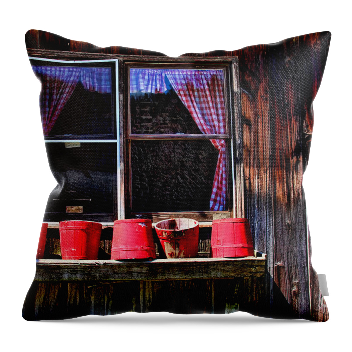 Rustic Throw Pillow featuring the photograph Rustic Window Box by Jayne Carney