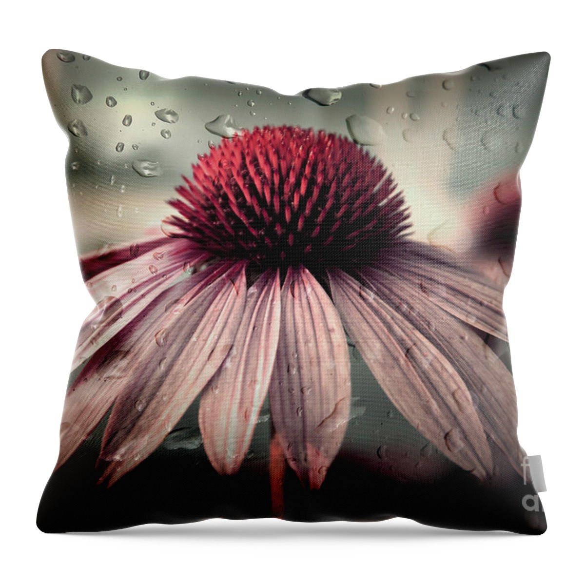 Flower Throw Pillow featuring the photograph Sad Solitude by Aimelle Ml