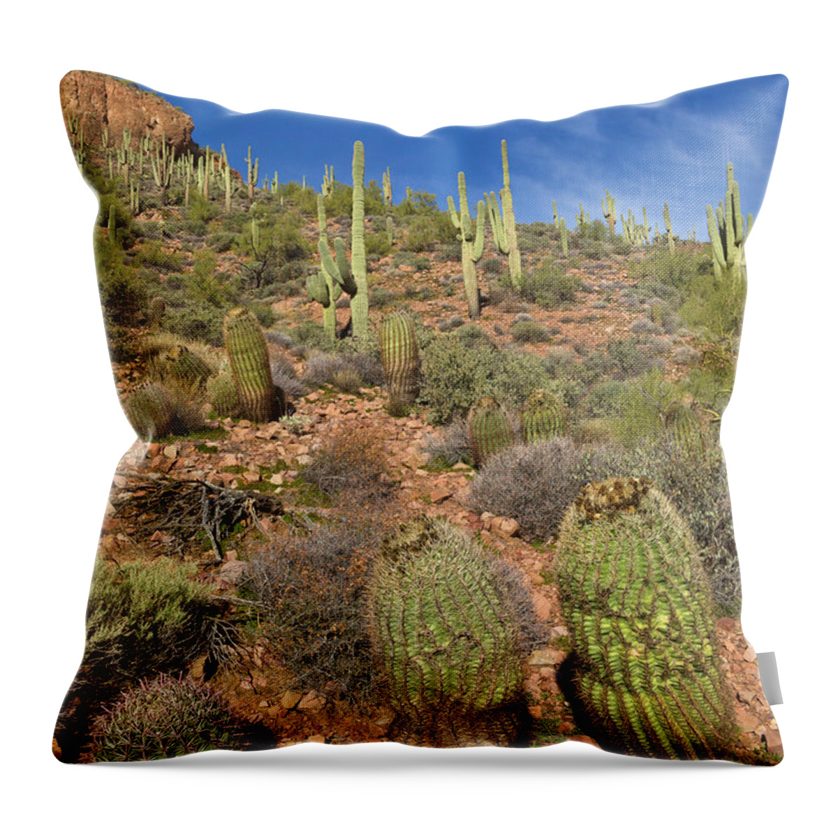 00559179 Throw Pillow featuring the photograph Saguaro And Barrel Cacti Tonto N M by Yva Momatiuk John Eastcott