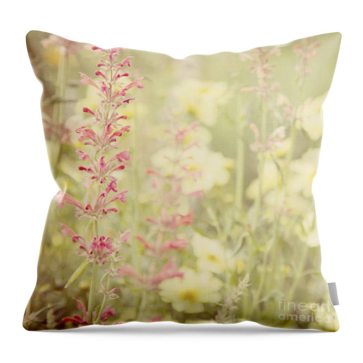 Salvia Throw Pillow featuring the photograph Salvia Flower 2 by Chris Scroggins